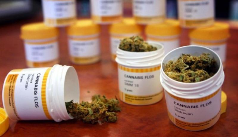 Reglamento del cannabis medicinal debía salir a los 60 días de la ley, pero van más de 400