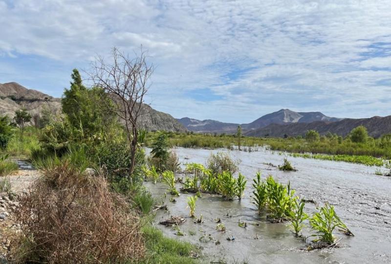 Río La Leche se desborda e inunda más de 300 hectáreas de cultivo de caseríos