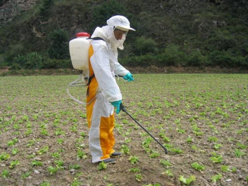 Rotación de productos de aplicación es clave en el manejo de plagas y enfermedades