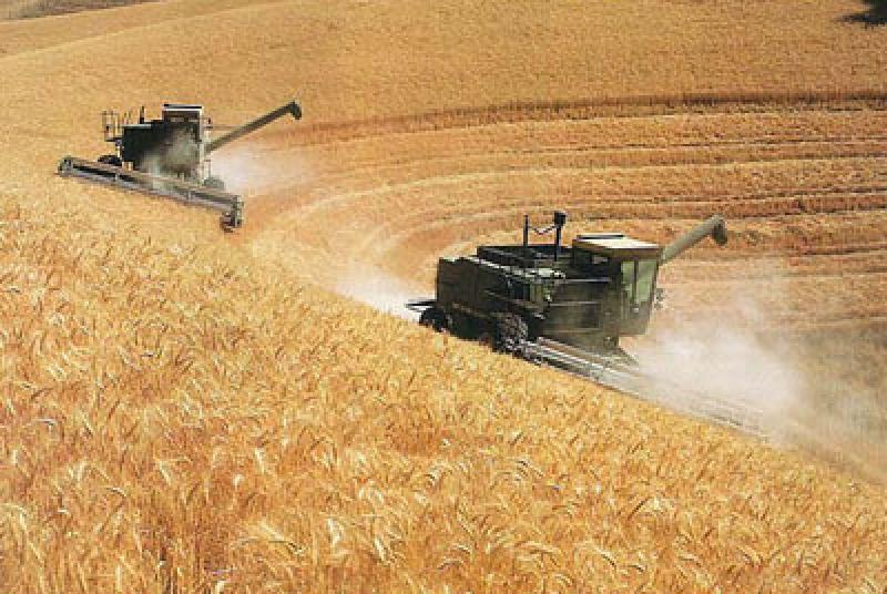 Rusia espera cosecha récord de 150 millones de toneladas de granos en 2022