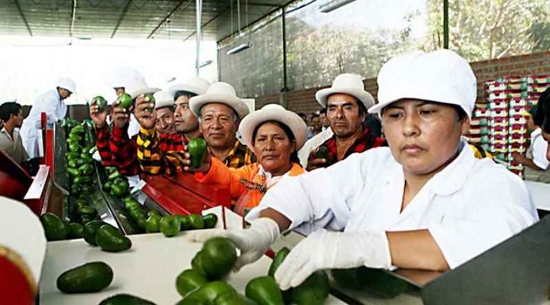 Ruta Productiva Exportadora globalizará mipymes peruanas