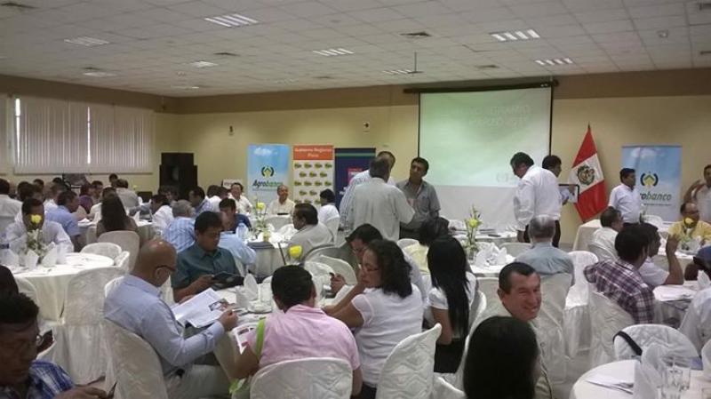 SAN MARTÍN: DESAYUNO AGRARIO ANALIZARÁ POTENCIAL DEL AGRO EN LA REGIÓN