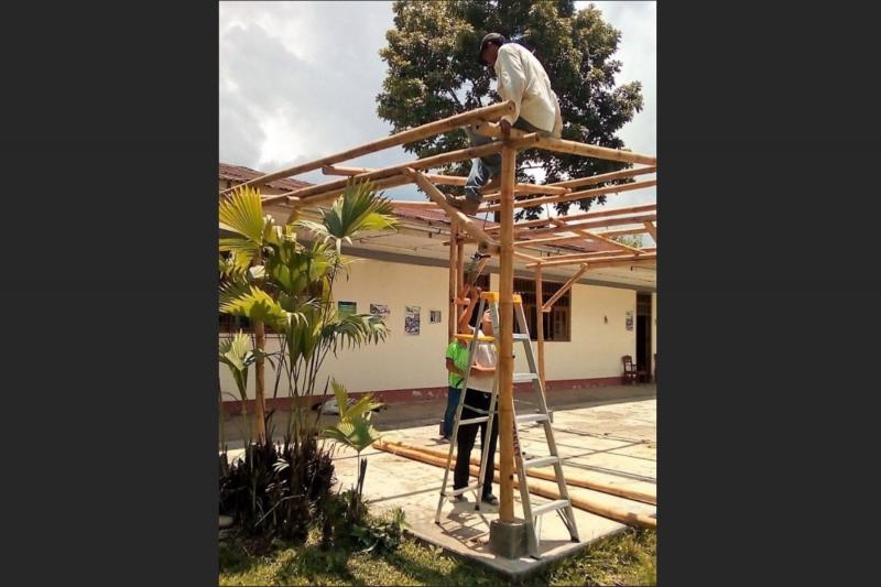 San Martín promueve uso del bambú para construir módulos para ferias