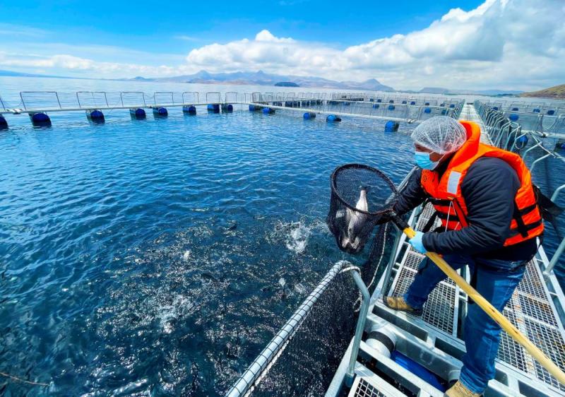 Sanipes consolidará su Marca de Certificación dando mayor valor agregado a los productos acuícolas en el 2022