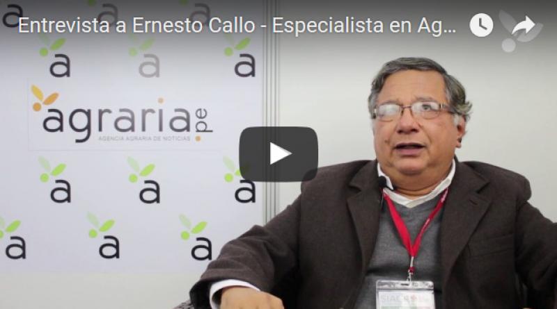 Se debe hacer un esfuerzo por desarrollar el mercado del espárrago blanco fresco