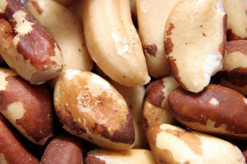Se incrementa la exportación peruana de nueces de Brasil