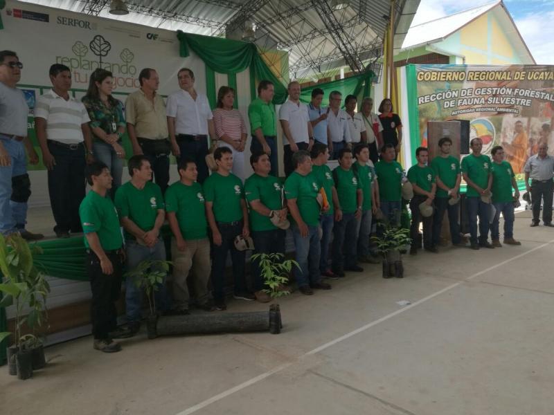 Se inicia en Ucayali el registro nacional de plantaciones forestales