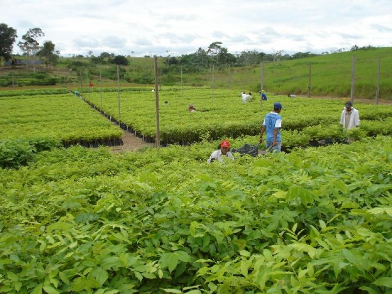 SE NECESITAN NUEVOS ENFOQUES DE LOS SISTEMAS ALIMENTARIOS 