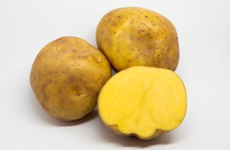 Se registra un gran incremento en la exportación peruana de papa amarilla congelada