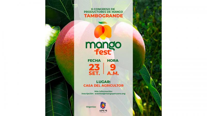 Se ultiman los preparativos para el Mangofest 2024