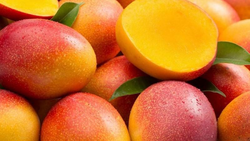 Se viene el 24° Congreso Internacional del Mango Peruano