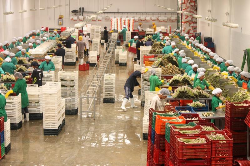 Sector exportador generó cerca de 3 millones de empleos entre enero y noviembre de 2018