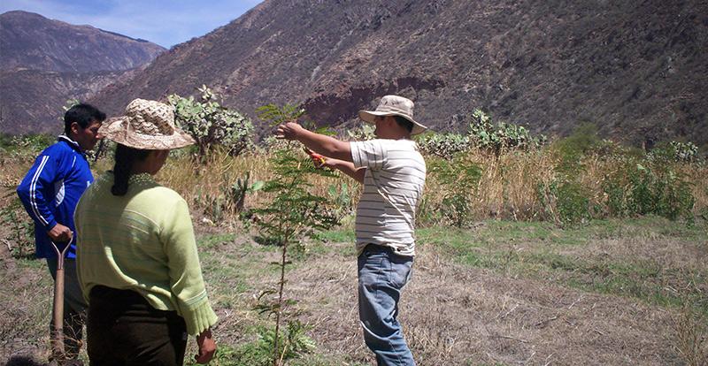 Segunda reforma agraria debe priorizar la mejor articulación de las cadenas productivas