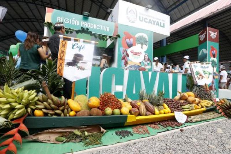 Selva Verde logra cerrar venta de 350 toneladas de cacao a empresa italiana