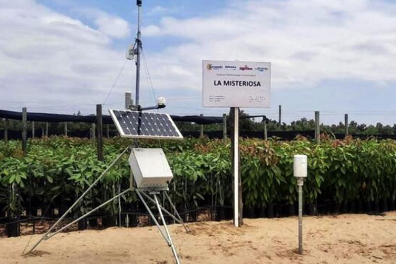 Senamhi instala estación meteorológica en Olmos para monitoreo de riesgos agroclimáticos