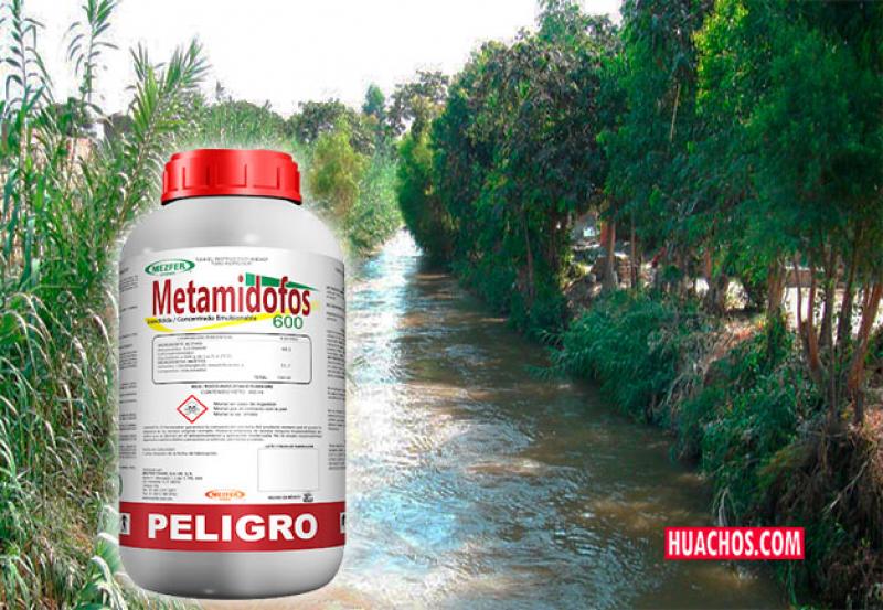 Senasa prohíbe comercialización, distribución y envasado de plaguicidas con el activo Metamidofos