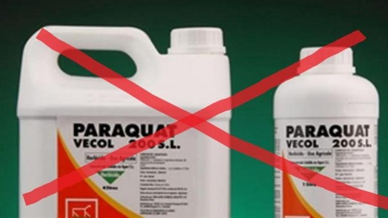  Senasa prohíbe importación y registro de Paraquat desde hoy