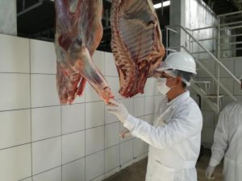 Senasa promueve implementación de mataderos municipales en Arequipa