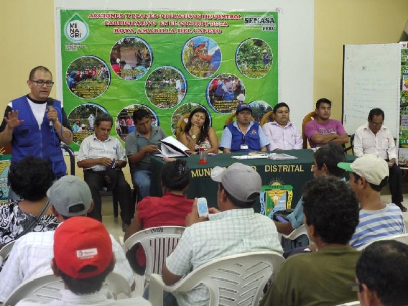 SENASA Y GOBIERNOS DE SELVA CENTRAL INICIARÁN FUMIGACIÓN DE CAFETALES