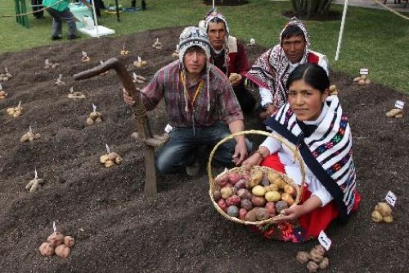 Sepa por qué la FAO destaca aporte de Perú al Patrimonio Agrícola Mundial