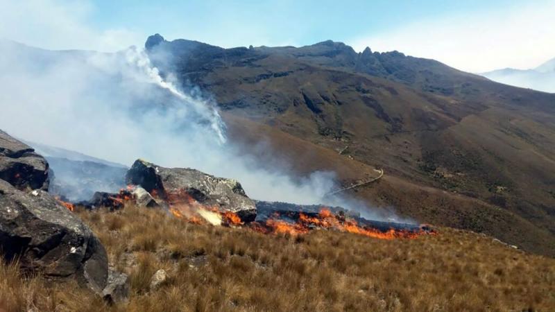 Serfor, 15 gobiernos regionales y Midis articulan esfuerzos para disminuir incendios forestales en el Perú