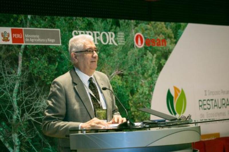 Serfor relanzará las concesiones forestales con nuevo enfoque de desarrollo sostenible