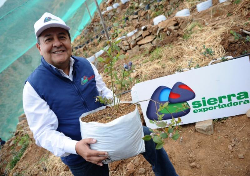 SIERRA EXPORTADORA IMPULSA ADAPTACIÓN DE CULTIVOS Y NEGOCIOS INNOVADORES 