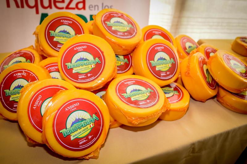 Sierra y Selva exportadora propone producción de quesos madurados para conservar la leche