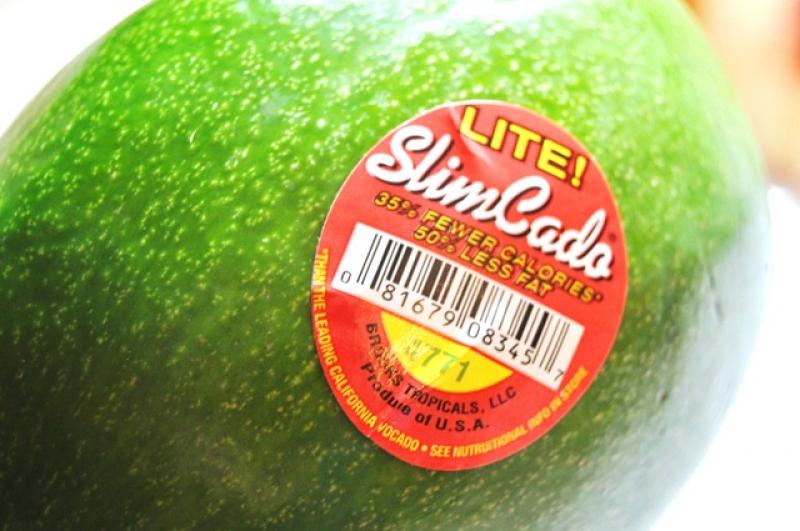 “SLIMCADO”: LA VARIEDAD CALIFORNIANA QUE BUSCA COMPETIR CON LA PALTA HASS