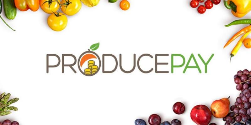 Startup agrícola, ProducePay, invertirá en productores de palta peruana para exportación a Estados Unidos