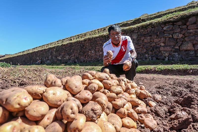 Suspensión de exportación de hortalizas a Bolivia carece de argumentos técnicos