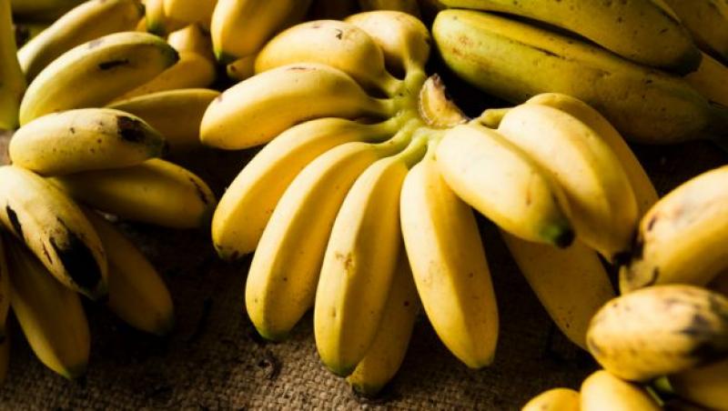 Transforman desechos de banano en harina y cosméticos