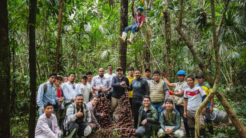 Tres comunidades nativas de San Martín y Loreto conservan más de 2900 hectáreas de bosques