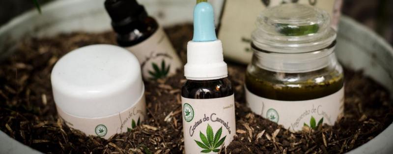 Tres empresas buscan obtener patentes para medicamentos a base de cannabis