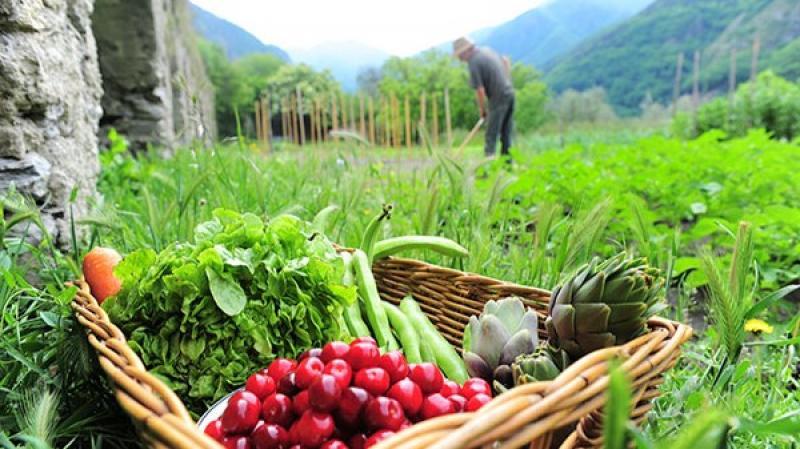 Tres errores que pueden frenar la certificación orgánica