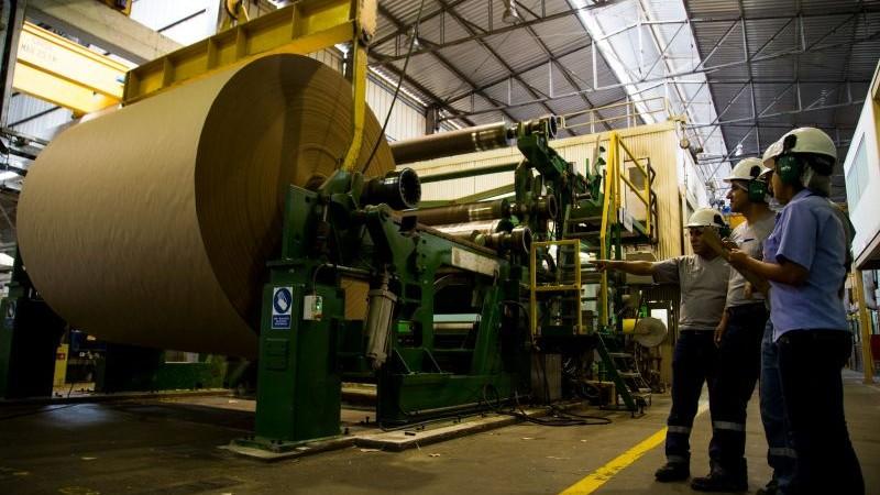 Trupal evita la tala de más de 1.5 millones de árboles gracias al reciclaje de cartón