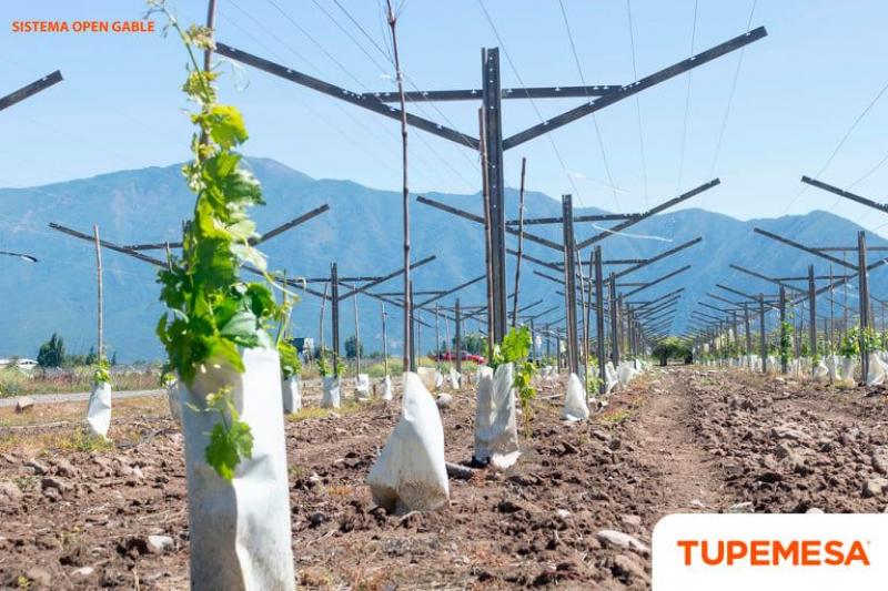TUPEMESA brinda soluciones para mejorar la productividad del cultivo y proveer un ahorro de hasta 40% en costos
