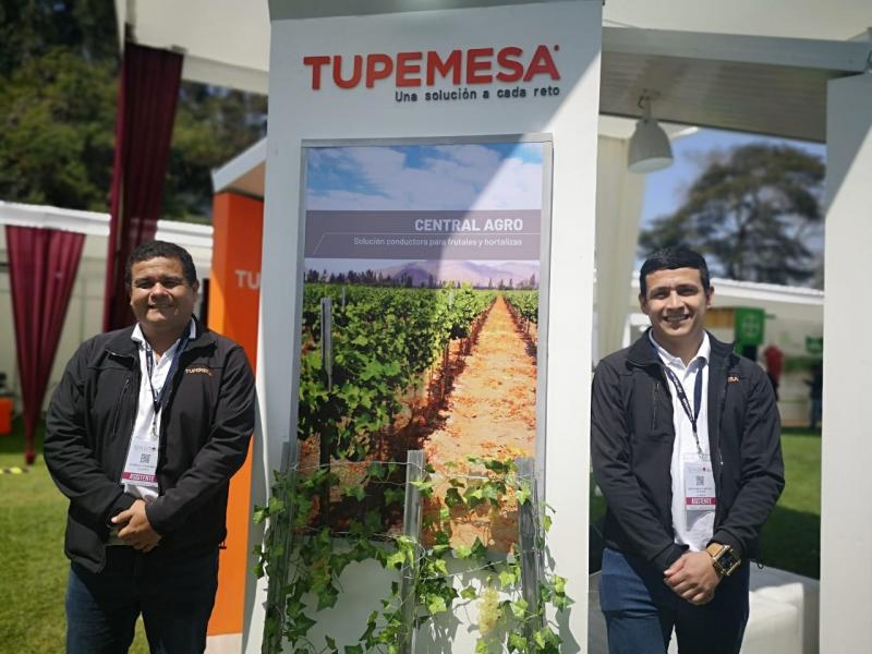 Tupemesa: La innovación tecnológica permite hasta un ahorro de 25% en producción de uva de mesa