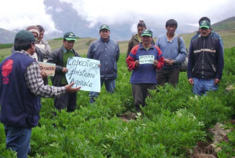 Ucayali: 14 mil pequeños productores pueden acceder al crédito de Agrobanco