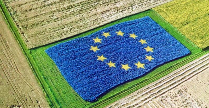 UE acuerda reforma que revolucionará su agricultura para que sea más ecológica