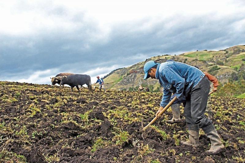 Un raro evento por encima de El Niño o La Niña puede estar ocasionando las anomalías climáticas que afectan a los cultivos