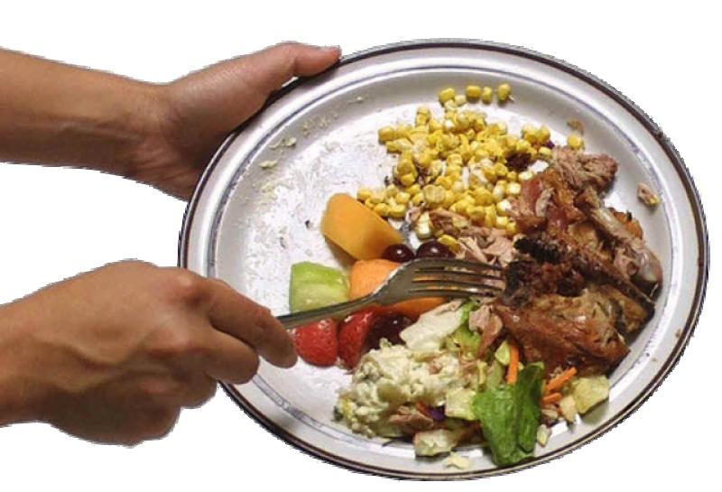 Un tercio de los alimentos producidos en el mundo se desperdicia