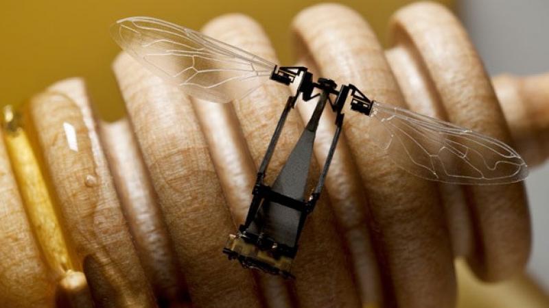 ¿Una abeja robótica puede sustituir a las reales en el proceso de polinización?