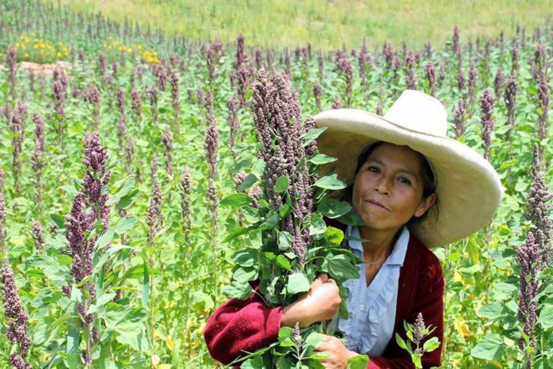 Una de cada tres mujeres empleadas a nivel mundial trabaja en la agricultura