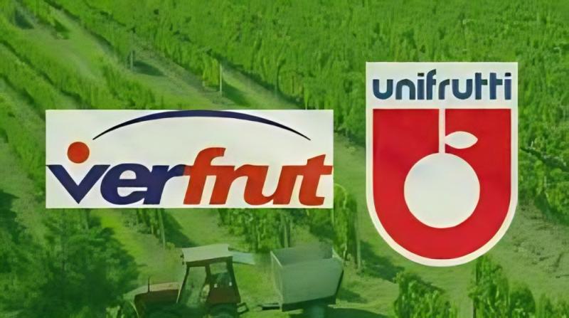 Unifrutti y Grupo Verfrut Chile & Perú se unen oficialmente