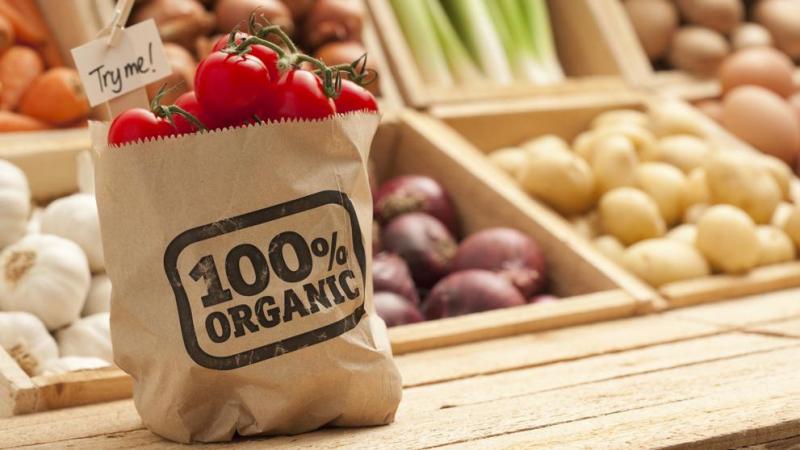 Unión Europea apoya cosecha de alimentos orgánicos