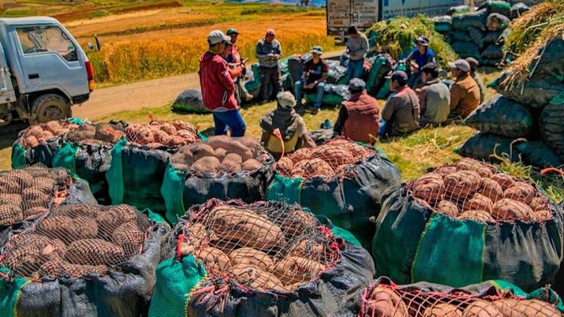 Unión Europea exigirá certificación de áreas libres de deforestación para exportaciones agrícolas