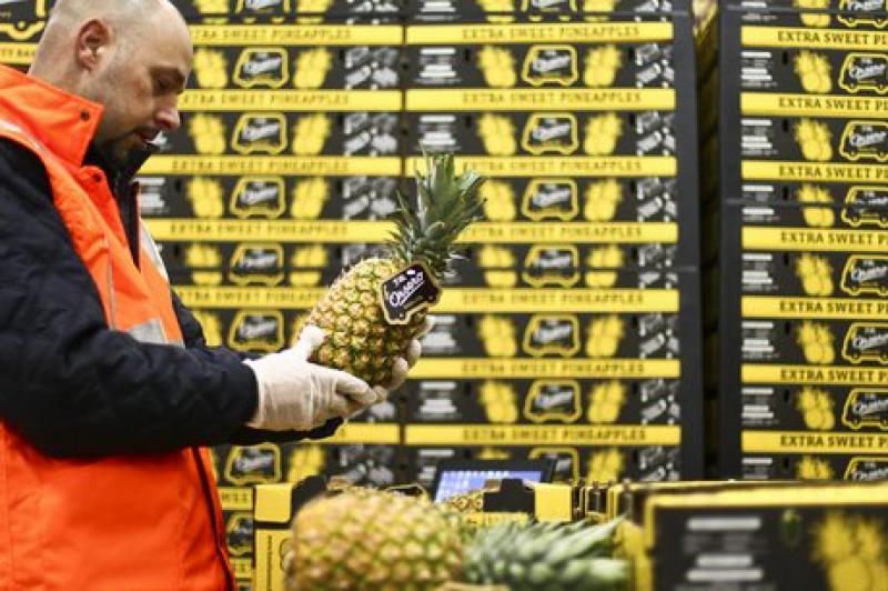 Unión Europea importó 10% más de frutas y hortalizas latinoamericanas