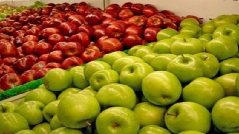 Unión Europea producirá más manzanas, peras y uvas de mesa en la campaña 2022/2023