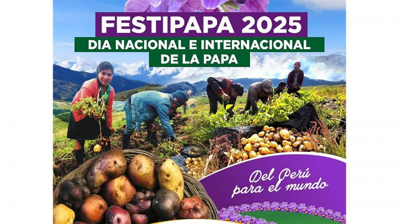 Universidad Nacional de Trujillo realizará Festipapa para rendir tributo al tubérculo peruano